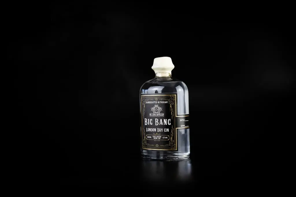 Bottiglia Big Bang Gin (500mL)